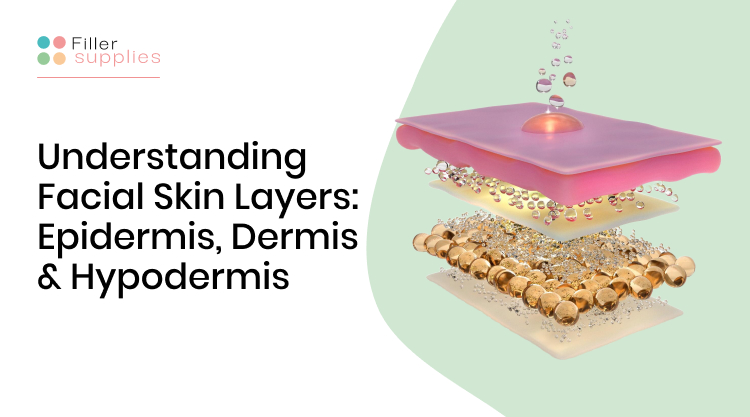facial-skin-layers
